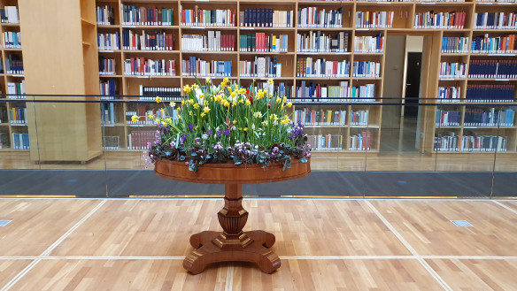 Blühender Garten im Bücherkubus erinnert an Großherzogin Maria Pawlowna
