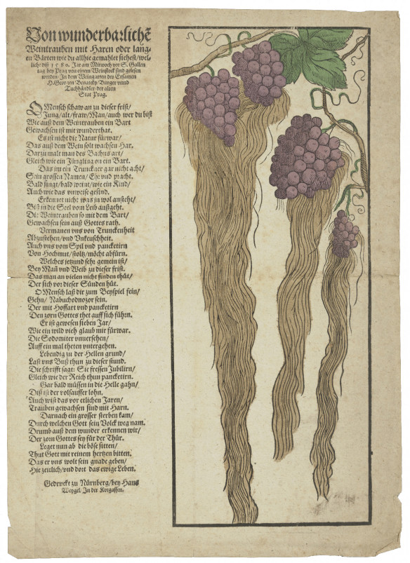 Einblattdruck – Weintrauben mit Bärten 